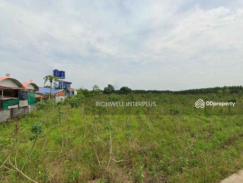 For Sale - Land for sale in Tha Tum, purple, next to concrete road, area 17 rai, behind Industrial Estate 304, Prachin Buri