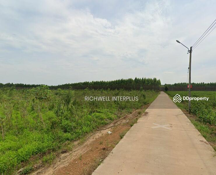 ขาย - ขายที่ดินท่าตูม สีม่วงติดถนนคอนกรีตเนื้อที่ 17 ไร่ หลังนิคม304, ปราจีนบุรี