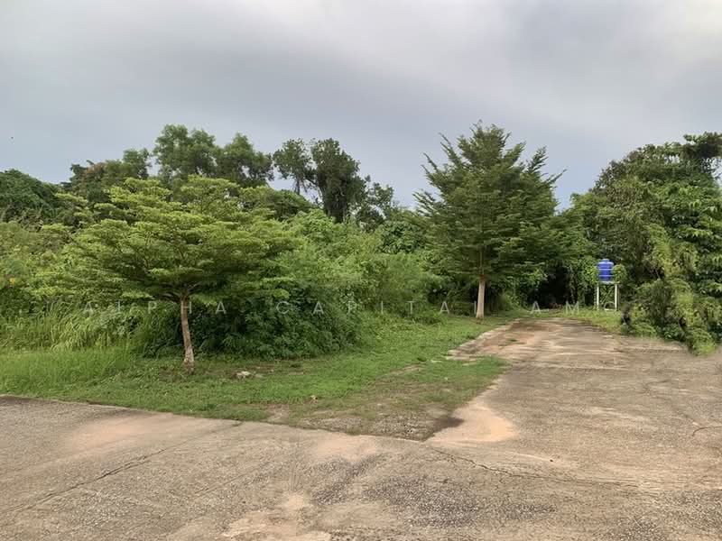 ที่ดินเปล่า ZB_087_G02, Trang, Kantrang, Trang, , 715 sqm, Land For Sale, by วารุณี จำรูญนุรักษ์, 11694562 - DDproperty.com