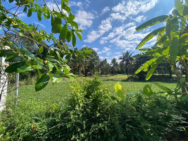 Maerim, Chiang Mai, Mae Sa, Mae Rim, Chiang Mai, 6 Bedrooms, 800 sqm, Villa For Rent, by วุฒิภัทร มิ่งคำ, 11694998 - DDproperty.com