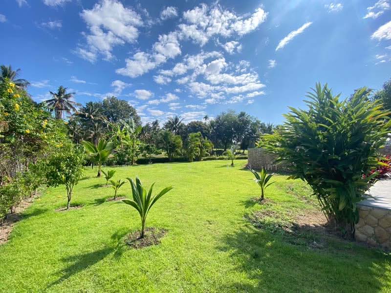 Maerim, Chiang Mai, Mae Sa, Mae Rim, Chiang Mai, 6 Bedrooms, 800 sqm, Villa For Rent, by วุฒิภัทร มิ่งคำ, 11694998 - DDproperty.com