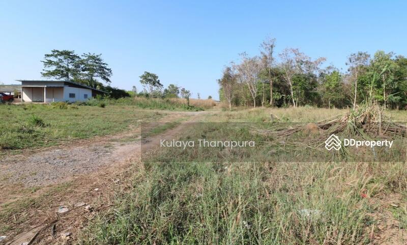 For Sale - LSS-621 ต.ทับกุง อ.หนองแสง จ.อุดรธานี: Thap Kung Subdistrict, Nongsaeng District, Udonthani Province, Udon Thani