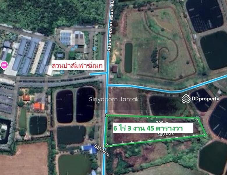 ขาย - ขายที่ดินทำเลสวย ใกล้สวนปาล์มฟาร์มนก บรรยากาศดี ราคาดีต่อใจ, ฉะเชิงเทรา
