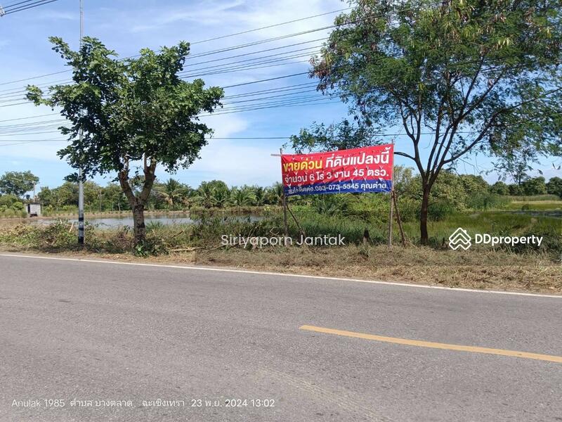 ขาย - ขายที่ดินทำเลสวย ใกล้สวนปาล์มฟาร์มนก บรรยากาศดี ราคาดีต่อใจ, ฉะเชิงเทรา
