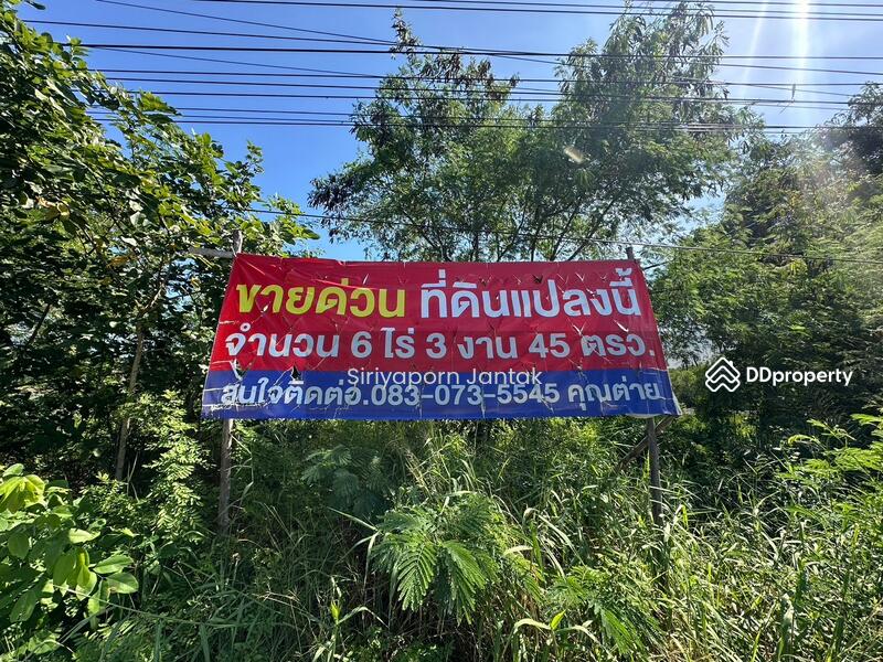 ขาย - ขายที่ดินทำเลสวย ใกล้สวนปาล์มฟาร์มนก บรรยากาศดี ราคาดีต่อใจ, ฉะเชิงเทรา