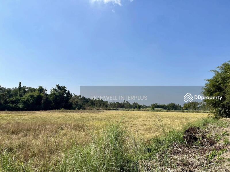 For Sale - Purple land for sale in Kabin Buri, next to a paved road, 126 rai, near road 2006-320 meters,, Prachin Buri