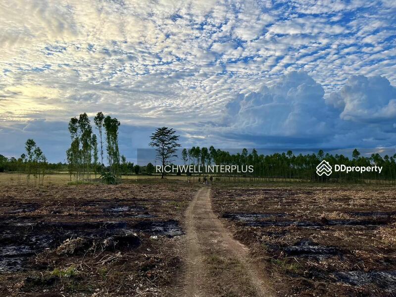 For Sale - Purple land for sale in Kabin Buri, next to a paved road, 126 rai, near road 2006-320 meters,, Prachin Buri