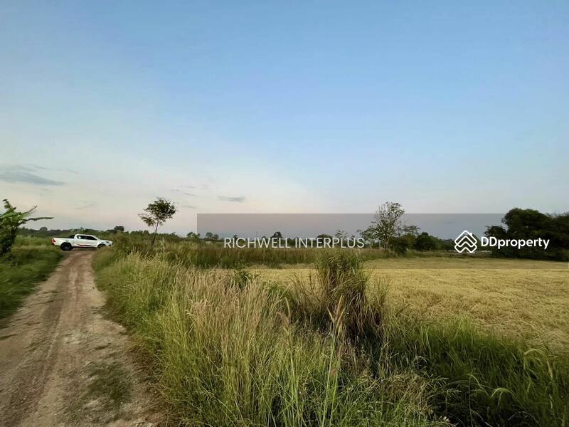 For Sale - Purple land for sale in Kabin Buri, next to a paved road, 126 rai, near road 2006-320 meters,, Prachin Buri