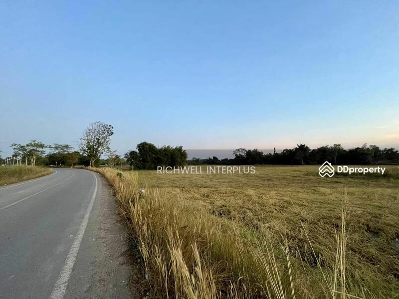 For Sale - Purple land for sale in Kabin Buri, next to a paved road, 126 rai, near road 2006-320 meters,, Prachin Buri
