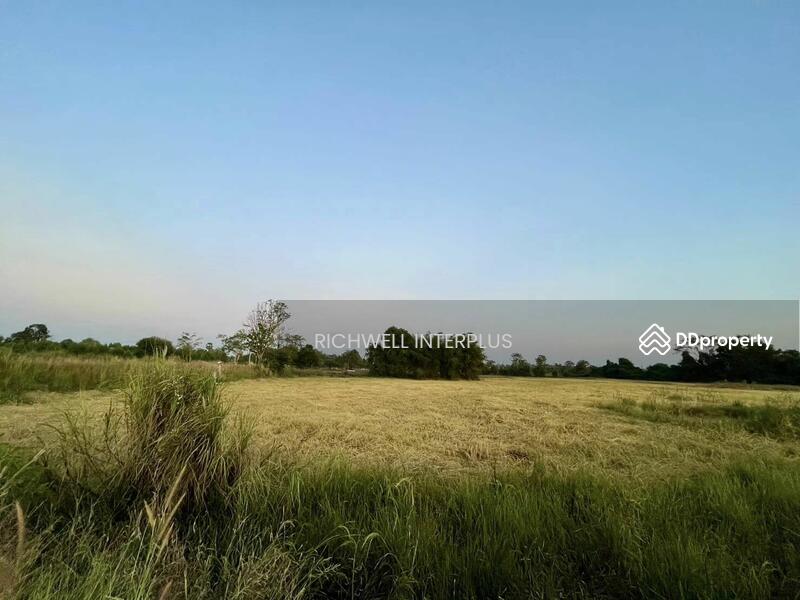 For Sale - Purple land for sale in Kabin Buri, next to a paved road, 126 rai, near road 2006-320 meters,, Prachin Buri