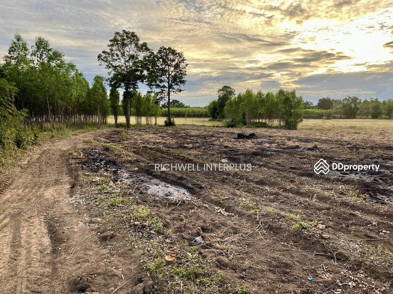 For Sale - Purple land for sale in Kabin Buri, next to a paved road, 126 rai, near road 2006-320 meters,, Prachin Buri