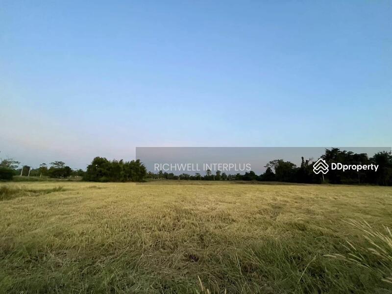 For Sale - Purple land for sale in Kabin Buri, next to a paved road, 126 rai, near road 2006-320 meters,, Prachin Buri
