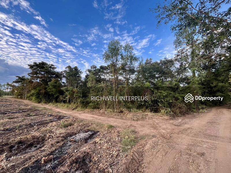 For Sale - Purple land for sale in Kabin Buri, next to a paved road, 126 rai, near road 2006-320 meters,, Prachin Buri