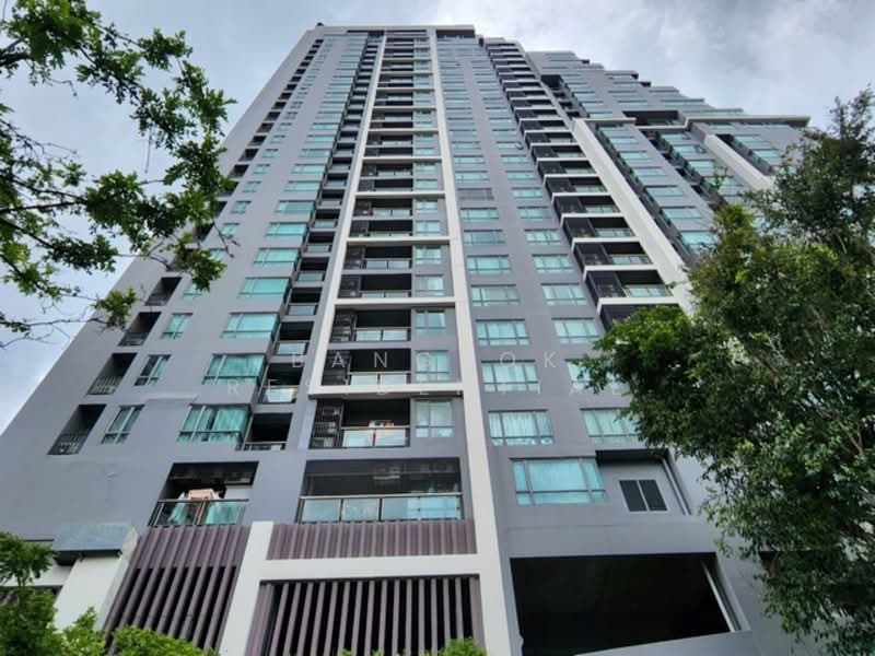 H Sukhumvit 43 : เอช สุขุมวิท 43, กรุงเทพ, 28 Sukhumvit 34 Road, คลองตันเหนือ, วัฒนา, กรุงเทพ, 60 ตร.ม., คอนโด ให้เช่า, โดย Bangkok Residential, 11696407 - DDproperty.com