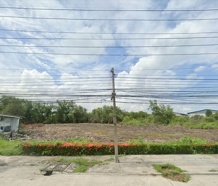Land for sale, Tha Kham, Bang Pakong, light purple, 1 rai, next to a canal, Chachoengsao, Tha Kham, Bang Pakong, Chachoengsao, , 1,976 sqm, Land For Sale, by RICHWELL INTERPLUS, 11696943 - DDproperty.com