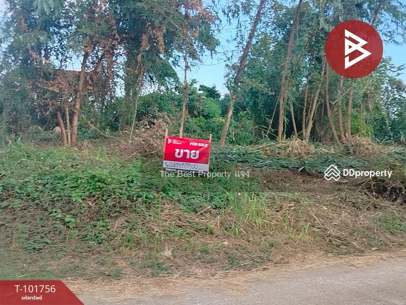 ขาย - ที่ดินบ้านเกาะ อุตรดิตถ์, อุตรดิตถ์
