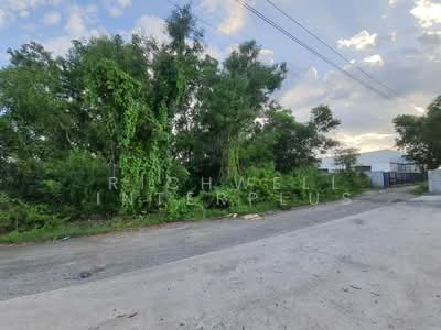 ขาย - ขายที่ดินสีม่วงลายเมืองฉะเชิงเทรา 1 ไร่ ใกล้สามแยกปองพล 5 กม., ฉะเชิงเทรา