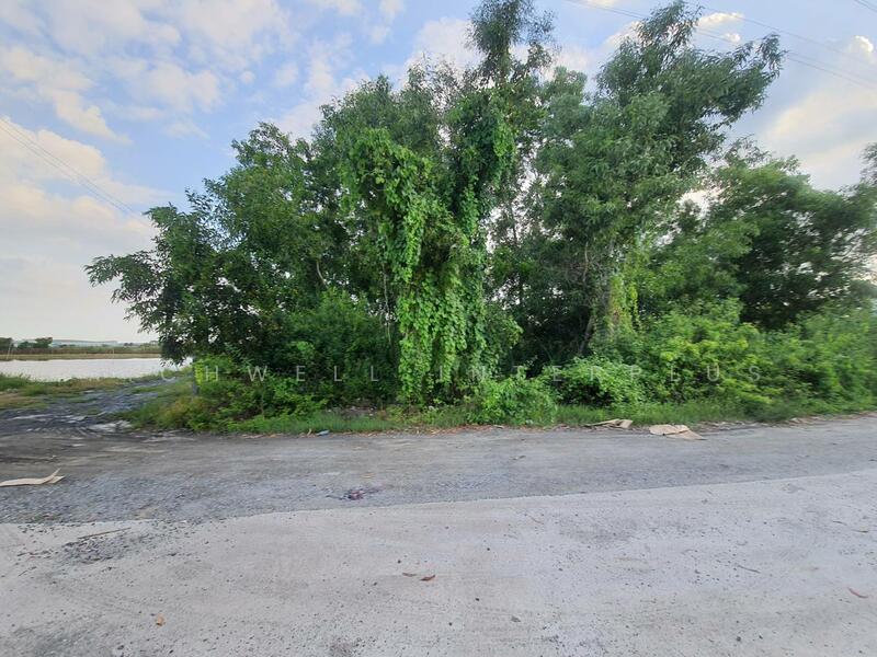 ขายที่ดินสีม่วงลายเมืองฉะเชิงเทรา 1 ไร่ ใกล้สามแยกปองพล 5 กม., ฉะเชิงเทรา, คลองอุดมชลจร, เมืองฉะเชิงเทรา, ฉะเชิงเทรา, 1,632 ตร.ม., ที่ดิน ขาย, โดย RICHWELL INTERPLUS, 11697335 - DDproperty.com