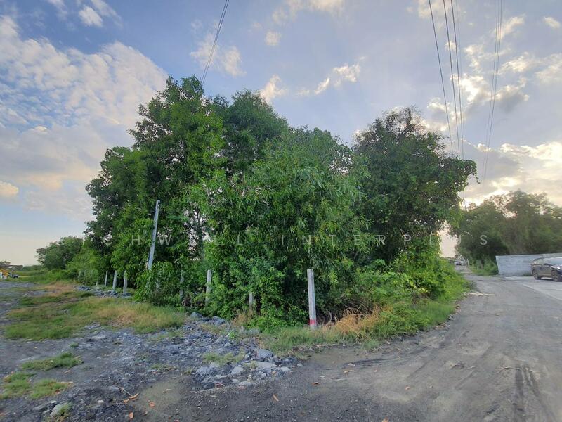 ขายที่ดินสีม่วงลายเมืองฉะเชิงเทรา 1 ไร่ ใกล้สามแยกปองพล 5 กม., ฉะเชิงเทรา, คลองอุดมชลจร, เมืองฉะเชิงเทรา, ฉะเชิงเทรา, 1,632 ตร.ม., ที่ดิน ขาย, โดย RICHWELL INTERPLUS, 11697335 - DDproperty.com