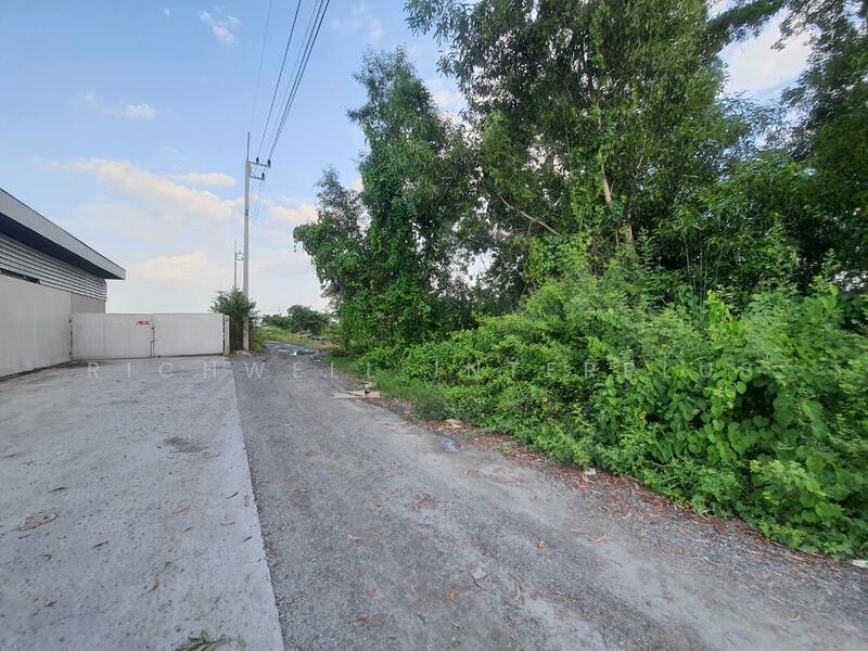 Purple land for sale in Chachoengsao, 1 rai, near Pongphon Intersection, 5 km., Chachoengsao, Khlong Udomchonchon, Muang Chachoengsao, Chachoengsao, , 1,632 sqm, Land For Sale, by RICHWELL INTERPLUS, 11697335 - DDproperty.com