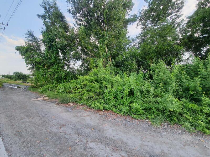 Purple land for sale in Chachoengsao, 1 rai, near Pongphon Intersection, 5 km., Chachoengsao, Khlong Udomchonchon, Muang Chachoengsao, Chachoengsao, , 1,632 sqm, Land For Sale, by RICHWELL INTERPLUS, 11697335 - DDproperty.com