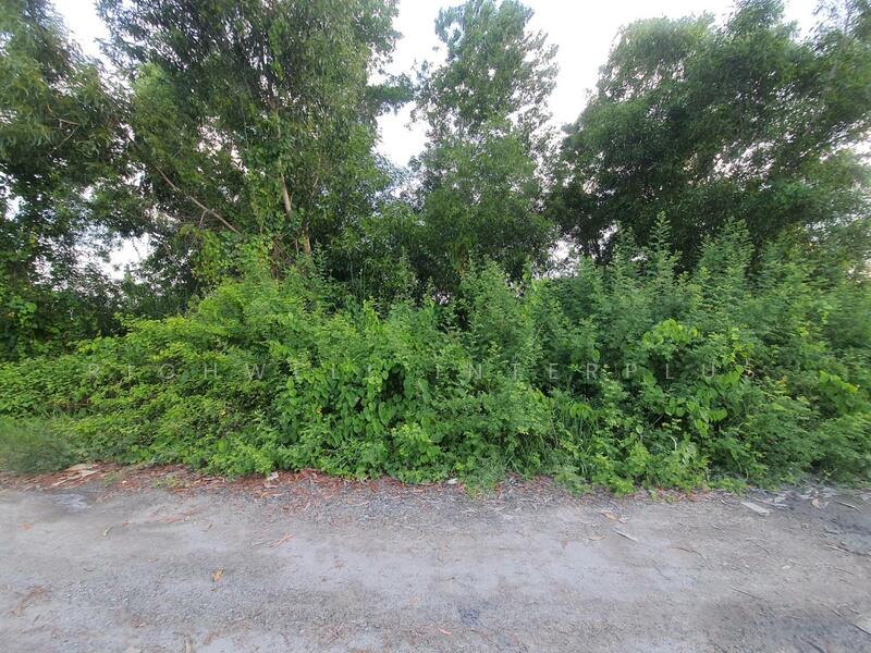 Purple land for sale in Chachoengsao, 1 rai, near Pongphon Intersection, 5 km., Chachoengsao, Khlong Udomchonchon, Muang Chachoengsao, Chachoengsao, , 1,632 sqm, Land For Sale, by RICHWELL INTERPLUS, 11697335 - DDproperty.com