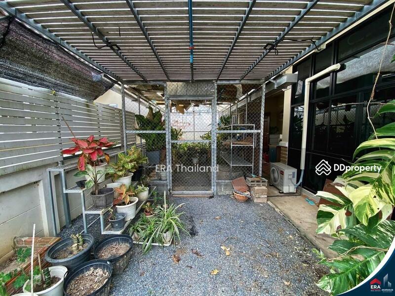 ขาย - ขายบ้านเดี่ยว 4นอน 2น้ำ 90ตร.วา ใกล้ห้างดูโฮมพิษณุโลก, พิษณุโลก