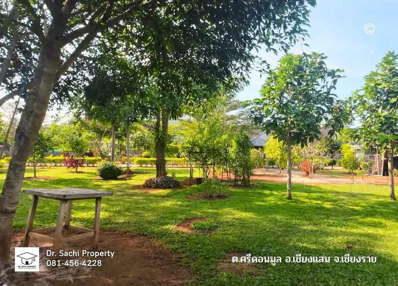 โฮมสเตย์ พร้อมบ้านพักสวย วิวเขา 3 ด้าน ใกล้สามเหลี่ยมทองคำ, ดอยสะโง้ จ.เชียงราย, เชียงราย, ทางหลวง 1290, ศรีดอนมูล, เชียงแสน, เชียงราย, 600 ตร.ม., กิจการ ขาย, โดย ฌัชษชี ฌัชปภาส์มณ, 11697962 - DDproperty.com