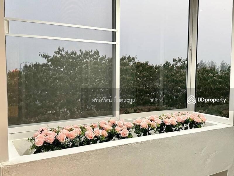 ขาย - 103 Central : 103 เซ็นทรัลคอนโดมิเนียม, เชียงใหม่