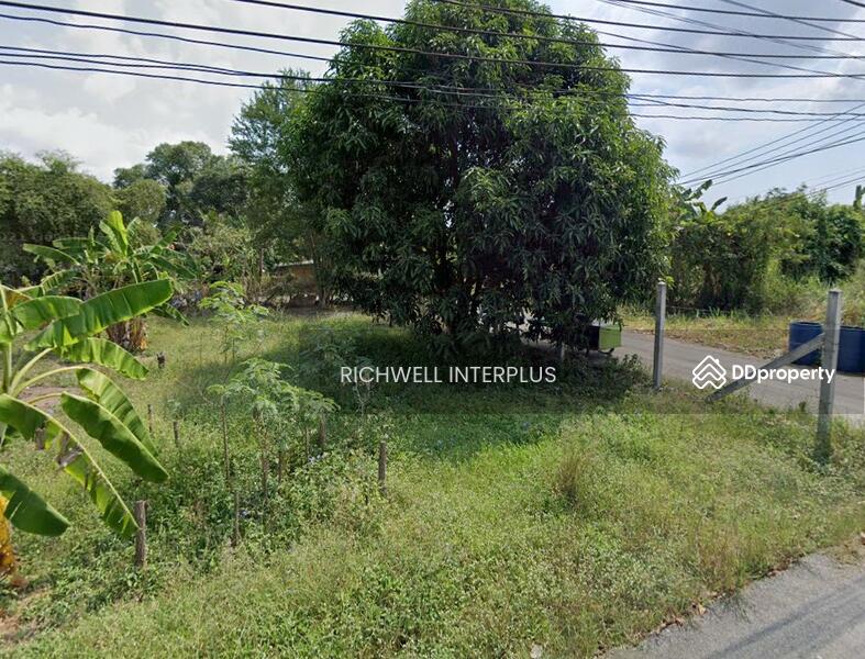 For Sale - Land for sale in Sattahip, Soi Sala Daeng, 3 sides of the road, area 125 sq m., Chon Buri
