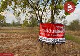 ที่ดินสามพร้าว อุดรธานี - DDproperty.com