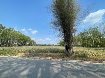 ขาย - หนองเสือช้าง หนองใหญ่ ชลบุรี, ชลบุรี