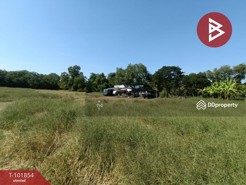 ขาย - ที่ดินหนองจอก กรุงเทพมหานคร, กรุงเทพ