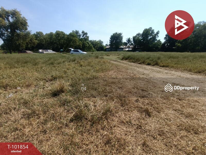 ขาย - ที่ดินหนองจอก กรุงเทพมหานคร, กรุงเทพ