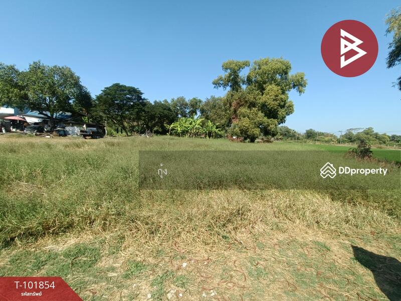 ขาย - ที่ดินหนองจอก กรุงเทพมหานคร, กรุงเทพ