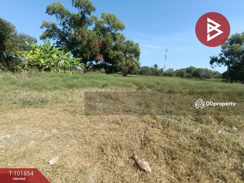 ขาย - ที่ดินหนองจอก กรุงเทพมหานคร, กรุงเทพ