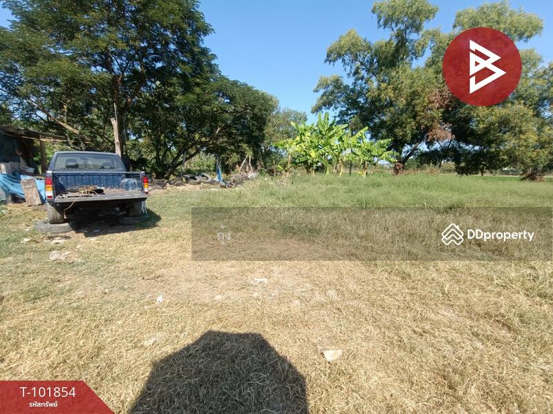 ขาย - ที่ดินหนองจอก กรุงเทพมหานคร, กรุงเทพ