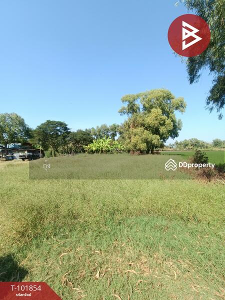 ขาย - ที่ดินหนองจอก กรุงเทพมหานคร, กรุงเทพ
