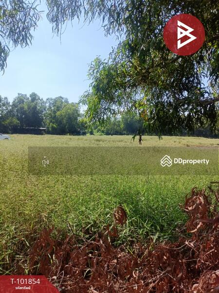 ขาย - ที่ดินหนองจอก กรุงเทพมหานคร, กรุงเทพ