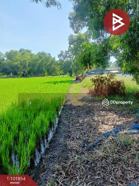 ขาย - ที่ดินหนองจอก กรุงเทพมหานคร, กรุงเทพ