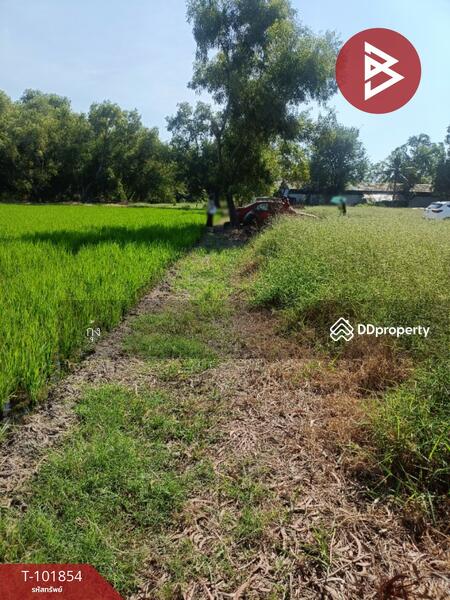 ขาย - ที่ดินหนองจอก กรุงเทพมหานคร, กรุงเทพ