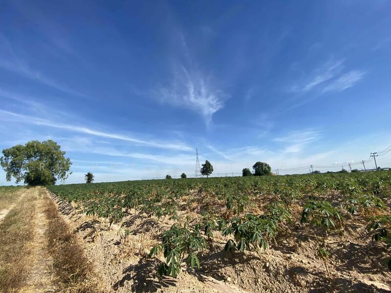 Land for sale in Bowin, 24 rai near the WHA Industrial Estate intersection, Chon Buri (Pattaya), Bo Win, Si Racha, Chon Buri (Pattaya), , 38,400 sqm, Land For Sale, by RICHWELL INTERPLUS, 11699712 - DDproperty.com