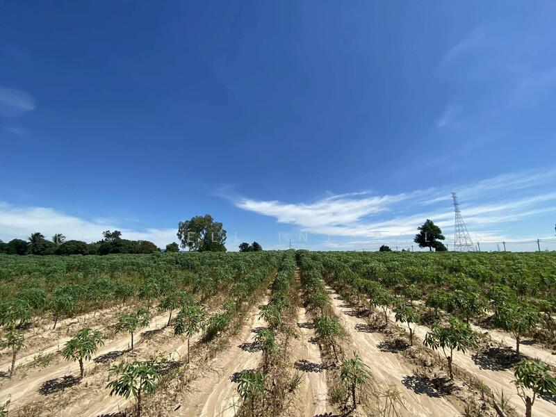 Land for sale in Bowin, 24 rai near the WHA Industrial Estate intersection, Chon Buri (Pattaya), Bo Win, Si Racha, Chon Buri (Pattaya), , 38,400 sqm, Land For Sale, by RICHWELL INTERPLUS, 11699712 - DDproperty.com