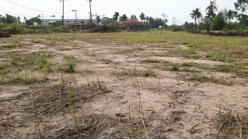 House for sale with 7 rai of land in Takhian Tia, on 2 sides of a concrete road, next to a canal, Chon Buri (Pattaya), Ta Khian Tia, Bang Lamung (Pattaya), Chon Buri (Pattaya), , 12,168 sqm, Land For Sale, by RICHWELL INTERPLUS, 11699746 - DDproperty.com