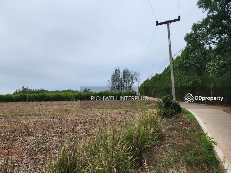 For Sale - Land for sale, high-rise building behind Asia Clean Industrial Estate, area 30 rai,, Chon Buri