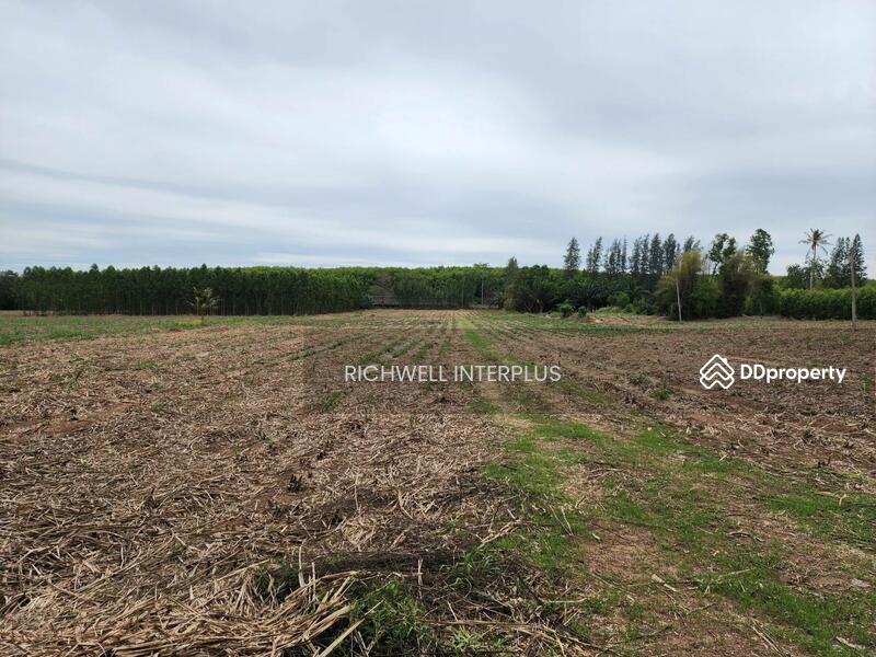 For Sale - Land for sale, high-rise building behind Asia Clean Industrial Estate, area 30 rai,, Chon Buri