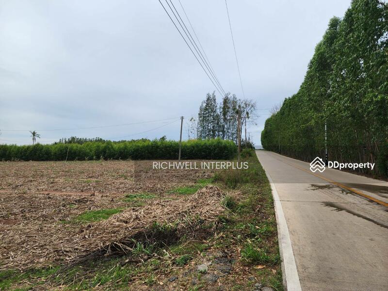 For Sale - Land for sale, high-rise building behind Asia Clean Industrial Estate, area 30 rai,, Chon Buri