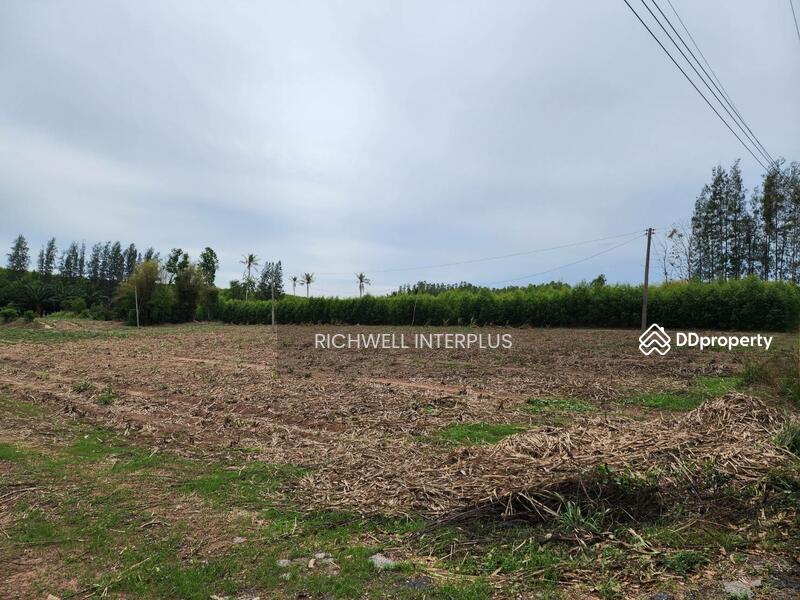 For Sale - Land for sale, high-rise building behind Asia Clean Industrial Estate, area 30 rai,, Chon Buri