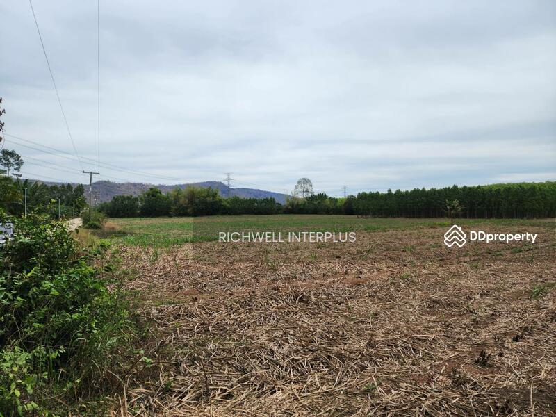 For Sale - Land for sale, high-rise building behind Asia Clean Industrial Estate, area 30 rai,, Chon Buri