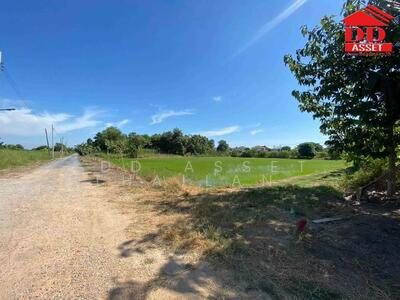 ขาย - ขายที่ดินเปล่า ซอยฉลองกรุง 54 ลาดกระบัง รหัส : L8032, กรุงเทพ